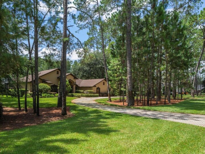 Property Photo: 412 Pine Bluff Drive FL 33549