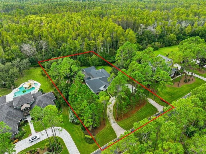 Property Photo:  412 Pine Bluff Drive  FL 33549 