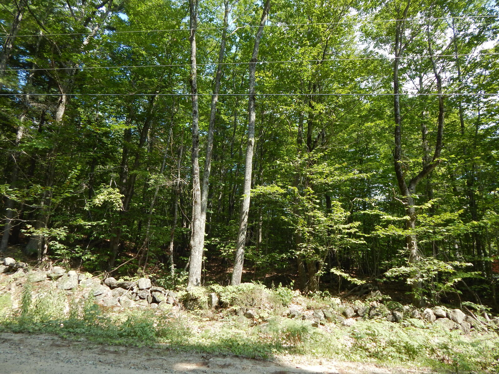Property Photo: Lot 6 Maplecrest Road ME 04047