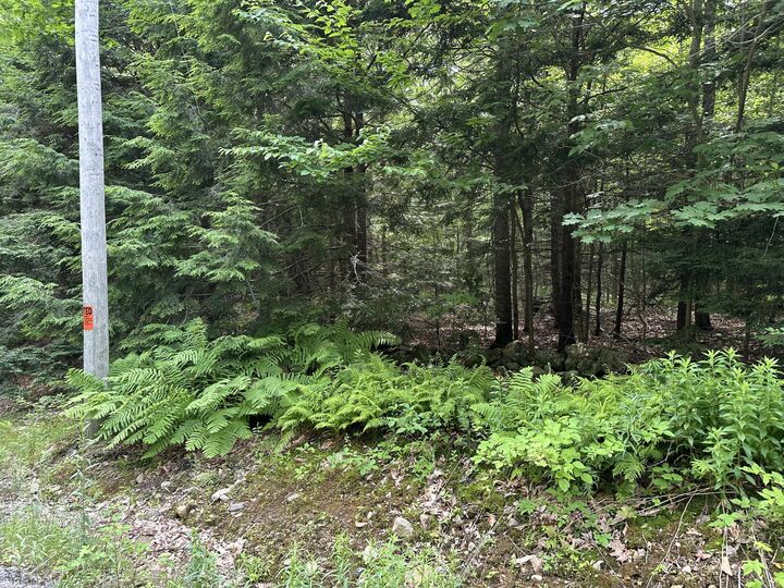 Tbd Dingley Road  Bowdoinham ME 04008 photo