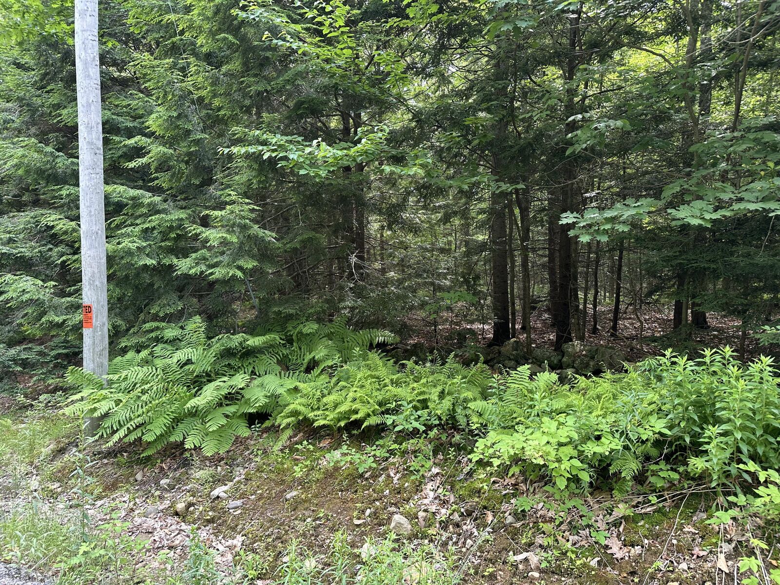 Property Photo: Tbd Dingley Road ME 04008