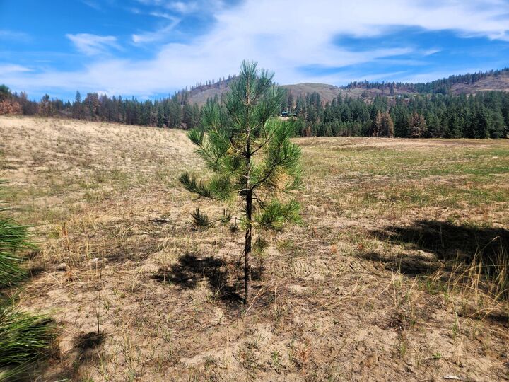 Property Photo:  34xx Northport Flat Creek Rd  WA 99141 