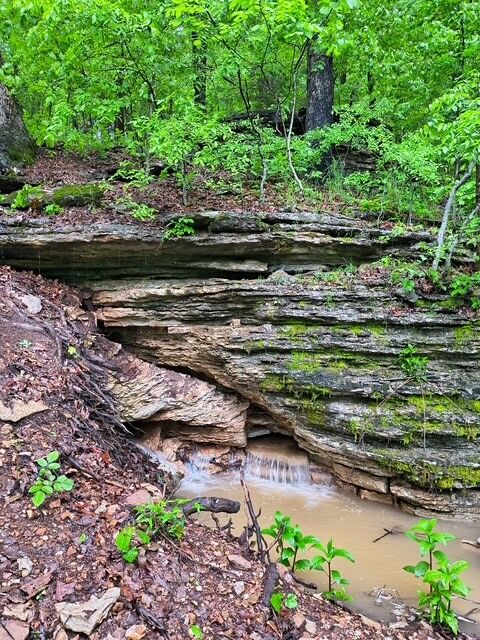 Property Photo: 583 County Road 6561 AR 72616