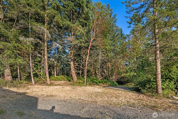 Property Photo: 248 Browne Street WA 98250