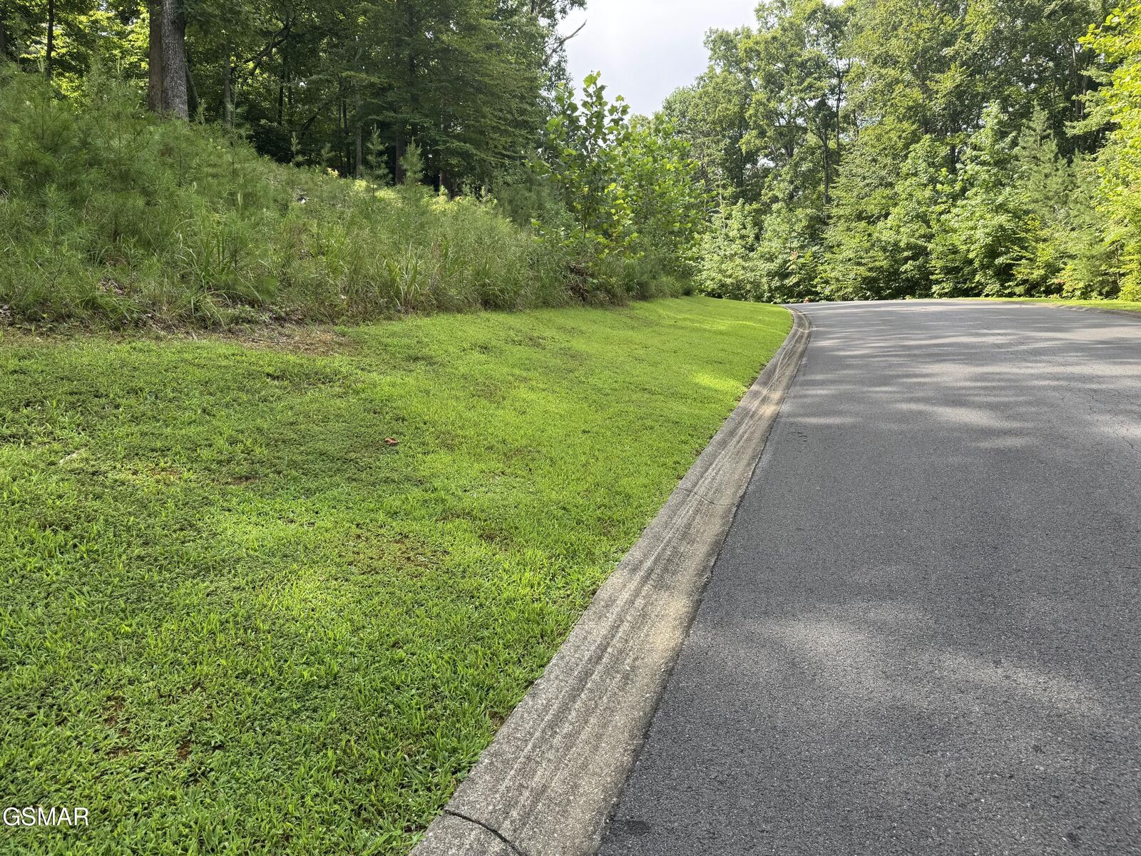 Property Photo: Lot 11 Cove Springs Drive TN 37725