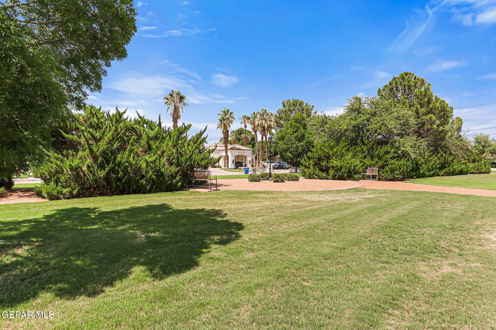 Property Photo: 4652 Globe Willow Drive TX 79922