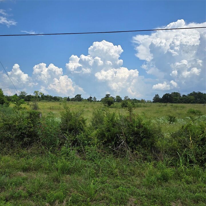 Property Photo: 11151 Tract 3B Hwy 156 TX 77331