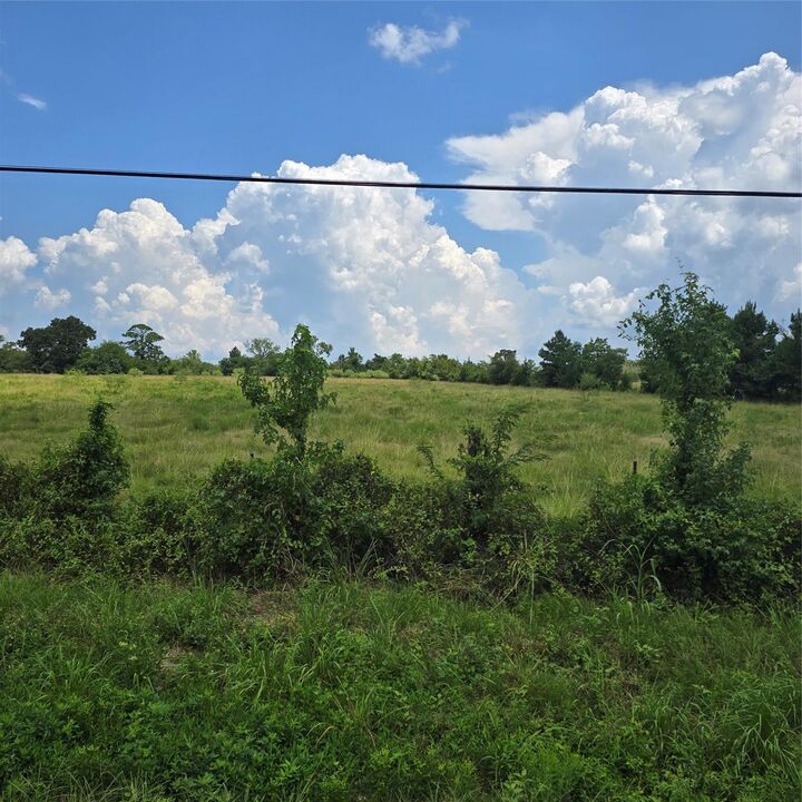 Property Photo: 11151 Tract 3A Hwy 156 TX 77331