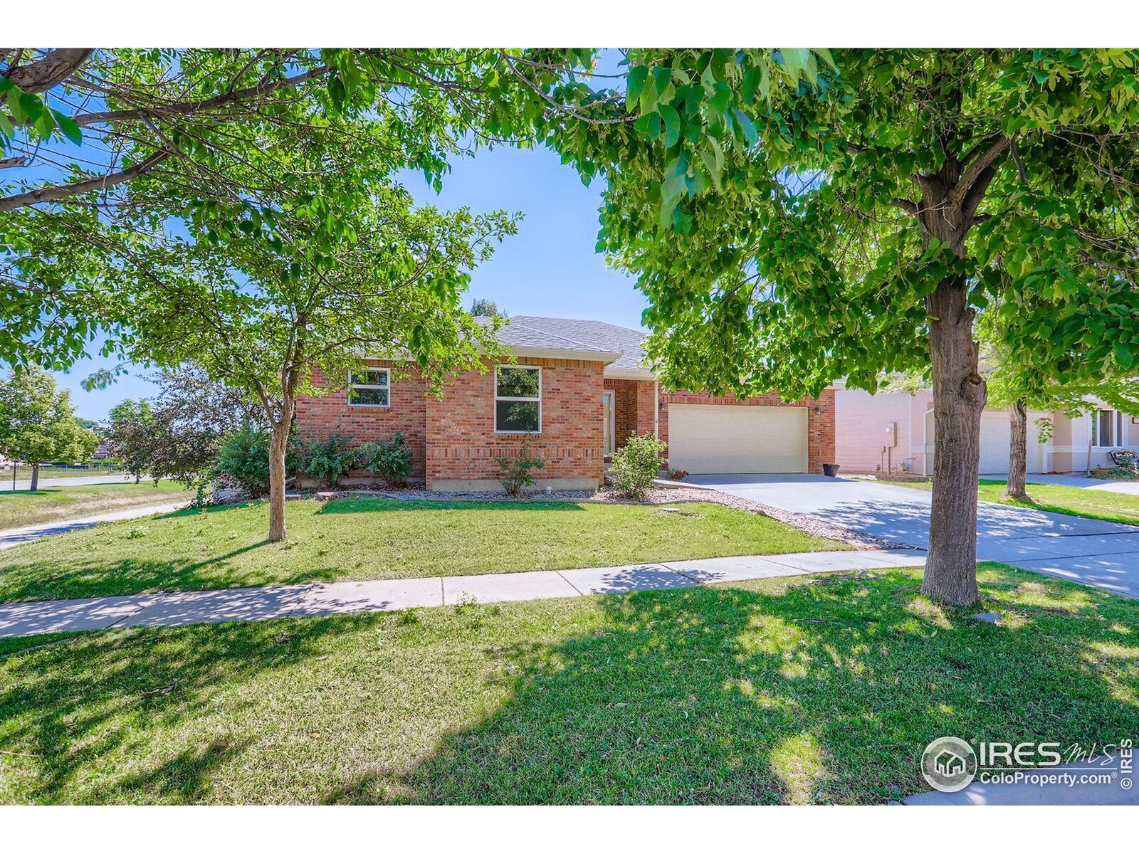 Property Photo:  310 Bein St  CO 80513 