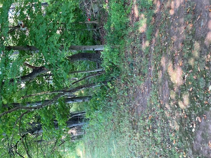 Property Photo: Ahrens Road Parksville New York 12768 NY