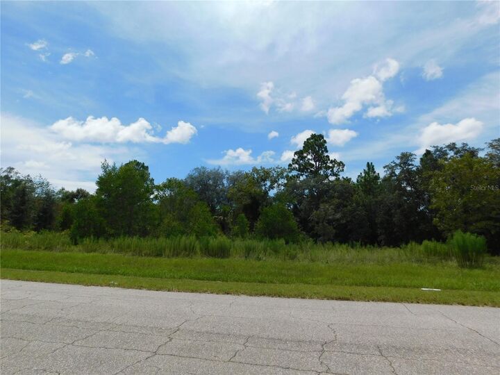 Property Photo: 6683 N Bedstrow Boulevard FL 34434
