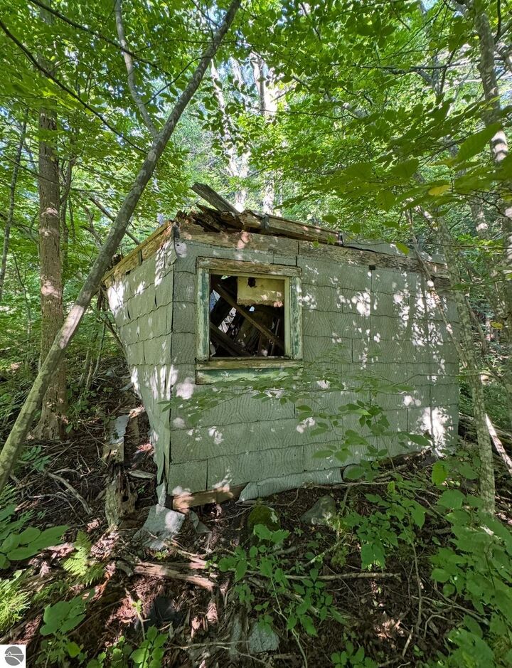 Property Photo: 0 N Pioneer Road N Pioneer MI 49617