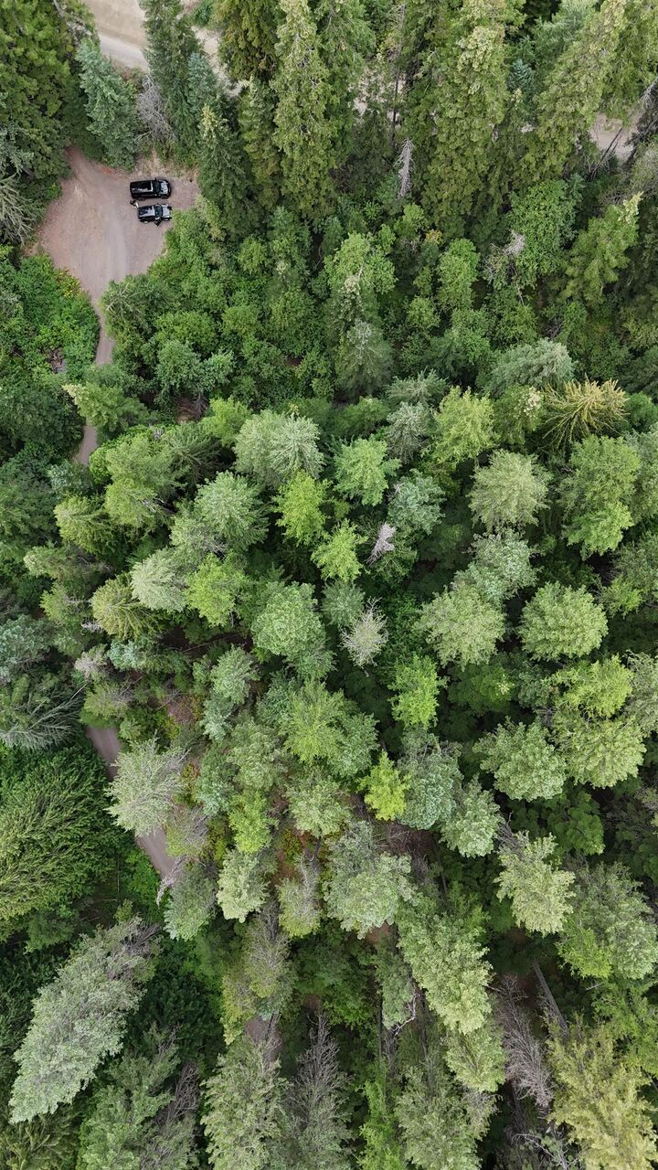 Property Photo:  184xx E Elliott Rd  WA 99021 