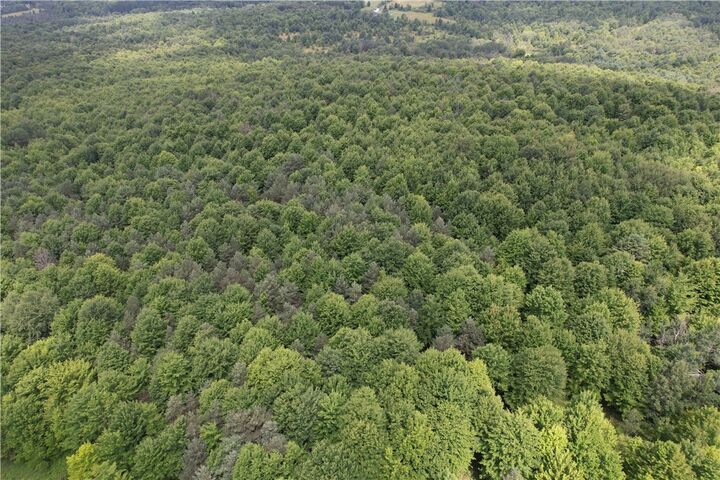 Property Photo: 0 Held #13 Greenbush Road NY 14838