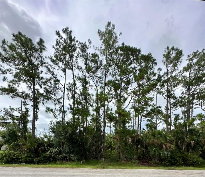 Property Photo:  Lot 16 Donatello Avenue  FL 34286 