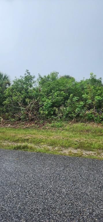 Property Photo:  8183 Clyde Circle  FL 33981 