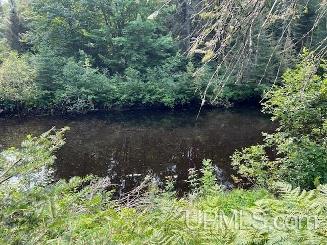 Property Photo:  Tbd Potato Patch Road  MI 49945 