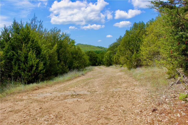 County Road  2264 Drive  Berryville AR 72631 photo