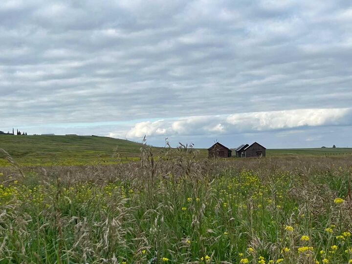 402 Avenue W  Rural Foothills County AB T1S 2E4 photo