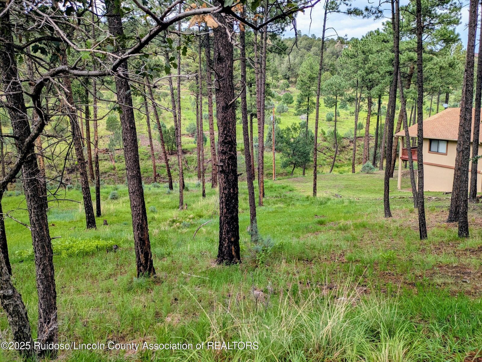Property Photo:  205 Stable Road  NM 88312 