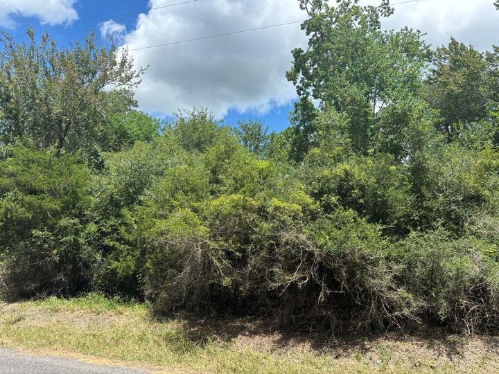 Property Photo: 0 J Jardell Road LA 70668