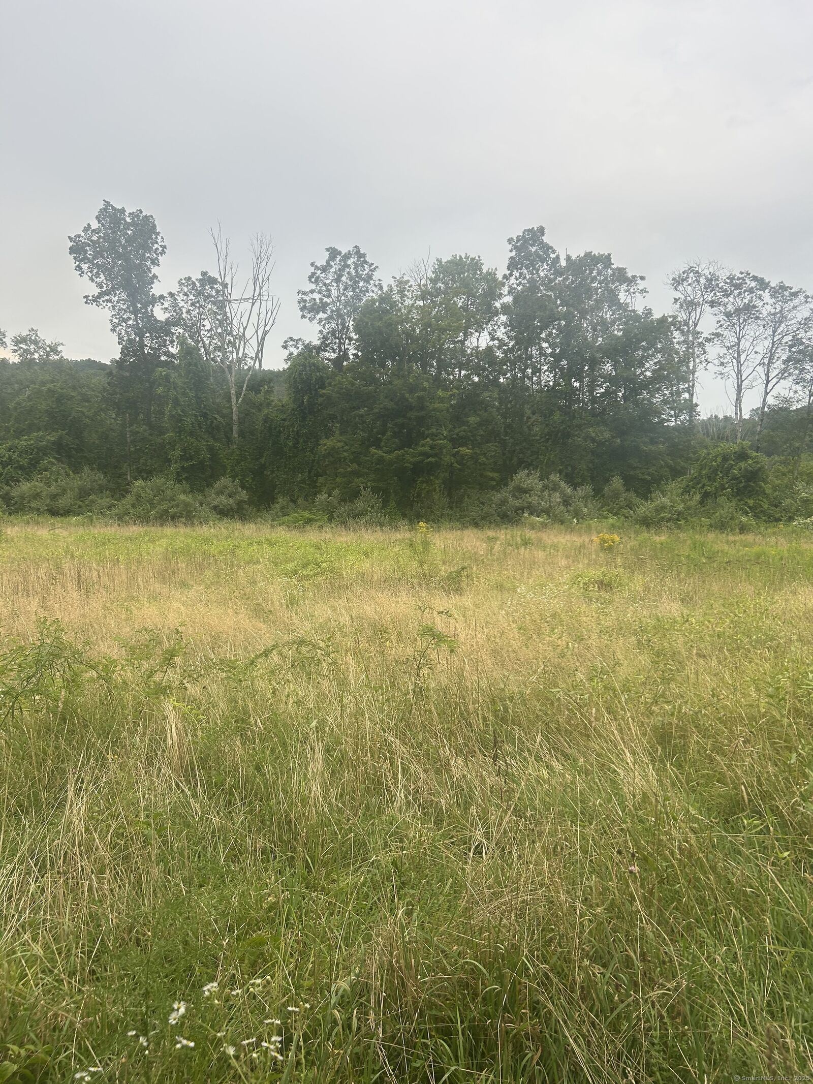Property Photo:  Carmel Hill Road  CT 06798 