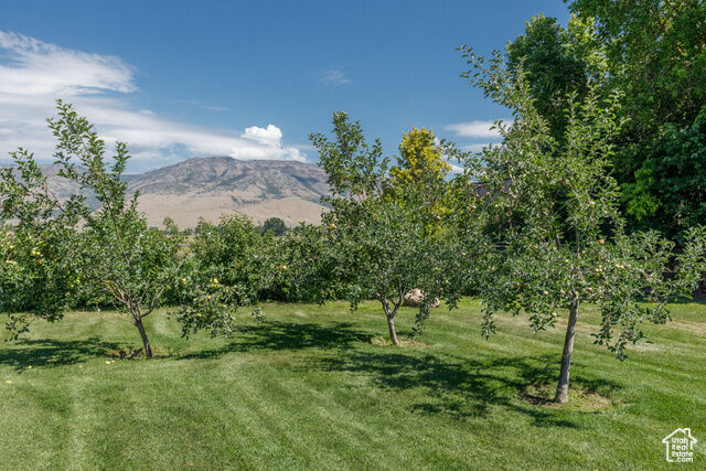 Property Photo: 7634 E 200 S UT 84317