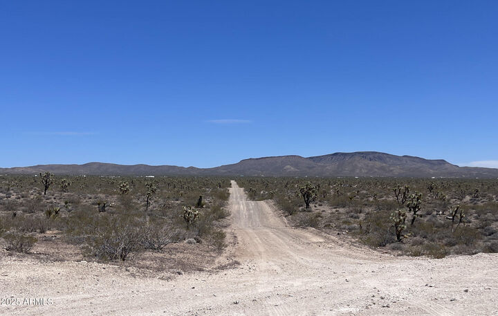 20455 N Skipper Boulevard -  White Hills AZ 86445 photo