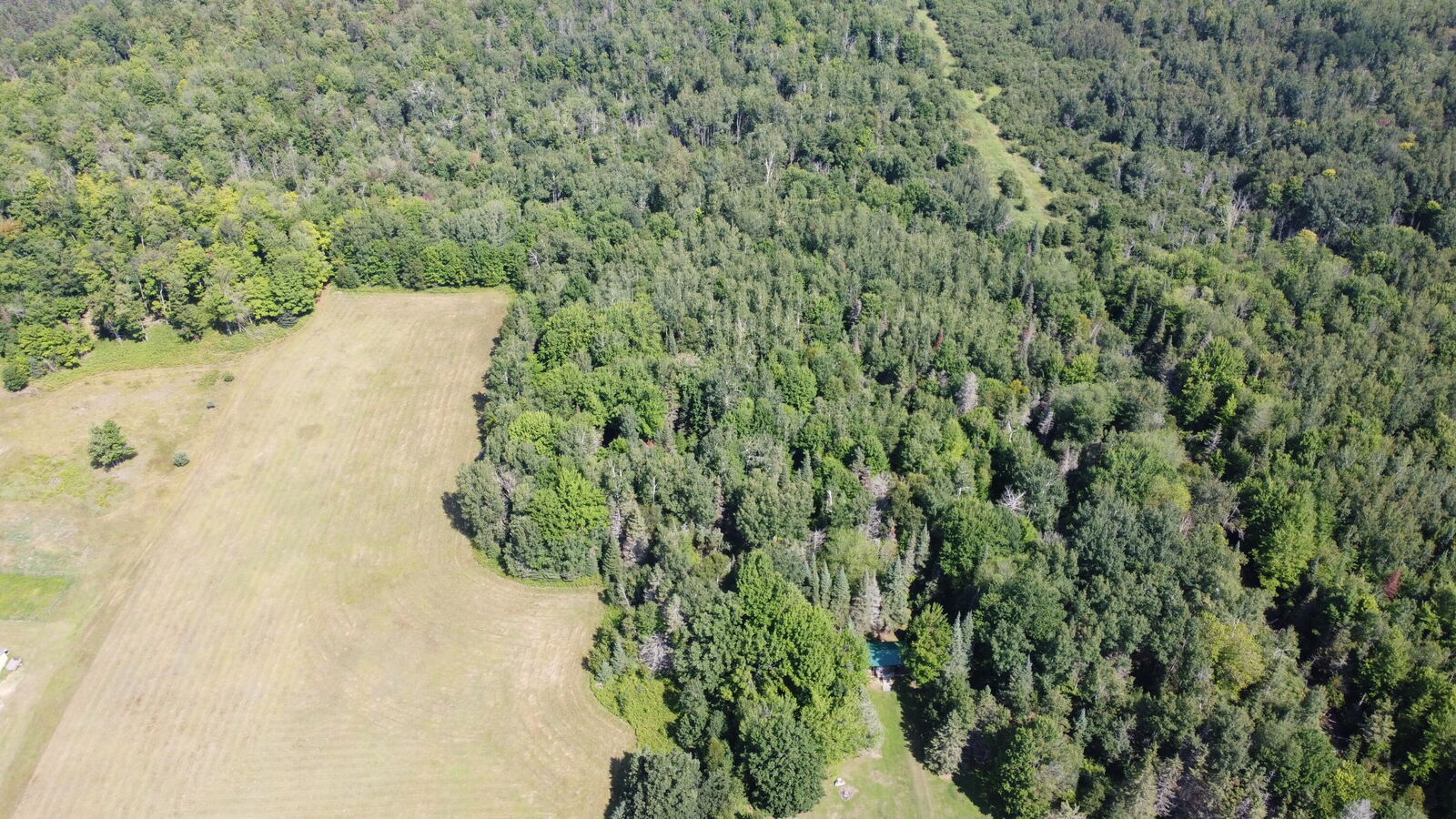 Property Photo: 17 Acres E Traynor Rd MI 49736
