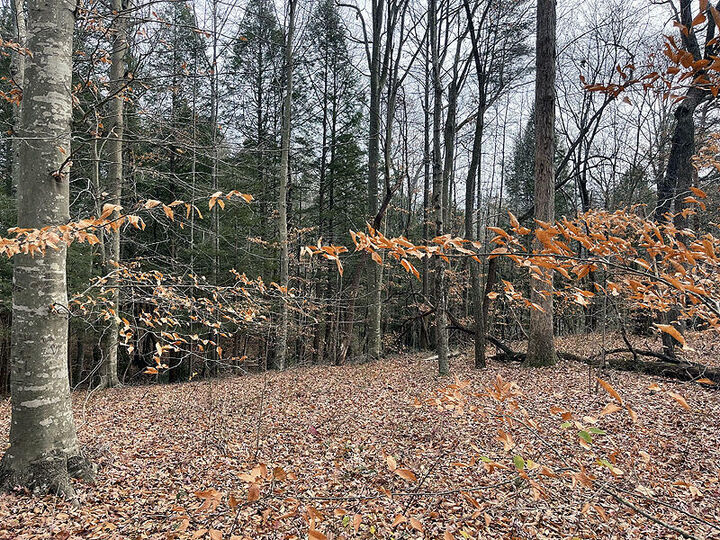 Property Photo:  Lot 189 Stillwater  KY 42642 