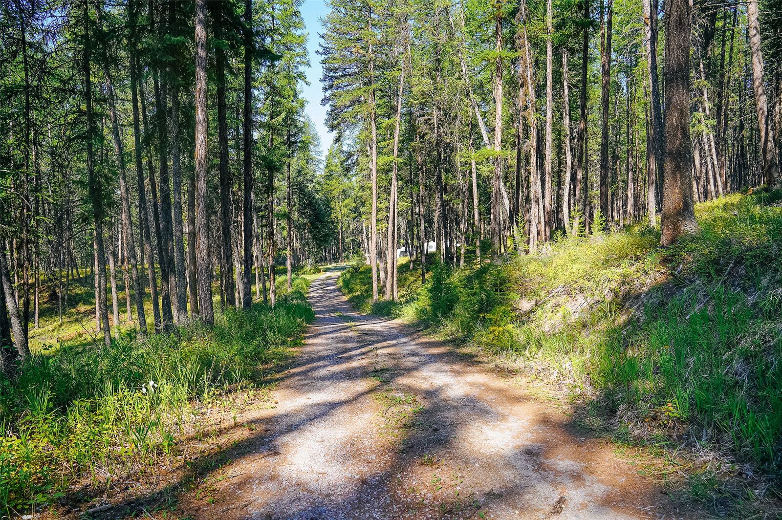Property Photo: 176 Murray Ridge Road MT 59937