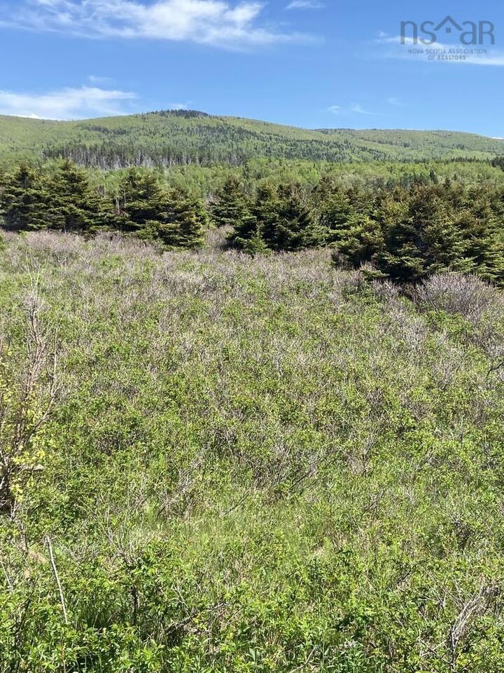 Property Photo:  Cabot Trail  NS B0E 3A0 