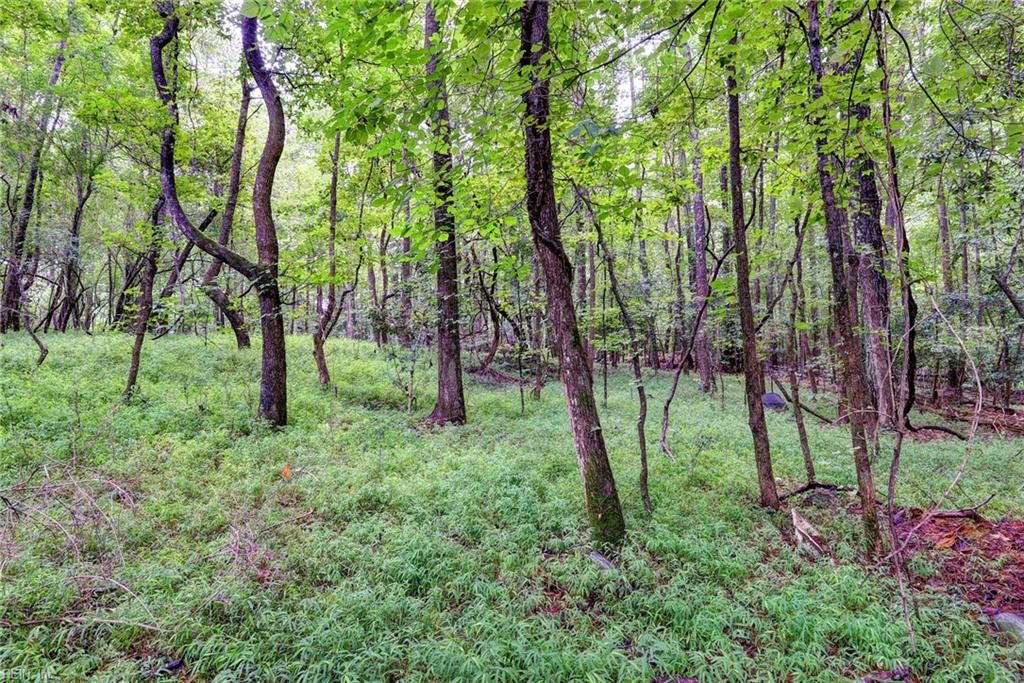 Property Photo:  200 Jolly Pond Rd  VA 23188 