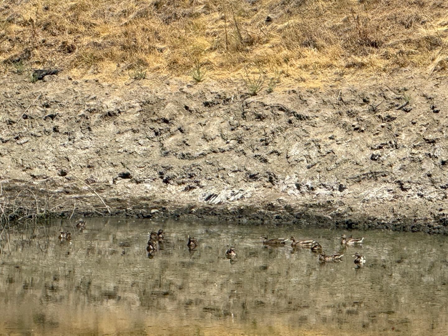 Property Photo:  48015 Mines Road  CA 95140 