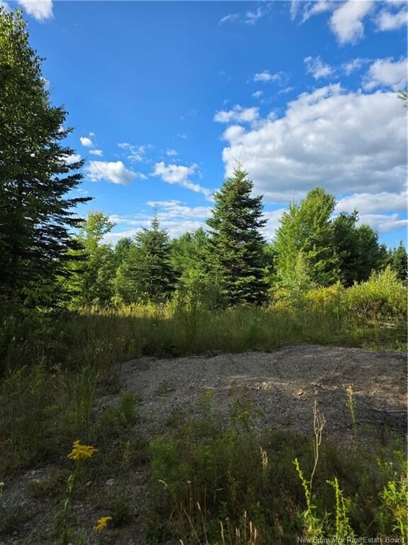 Property Photo: 124 Greenhill Lake Road NB E6E 1E9