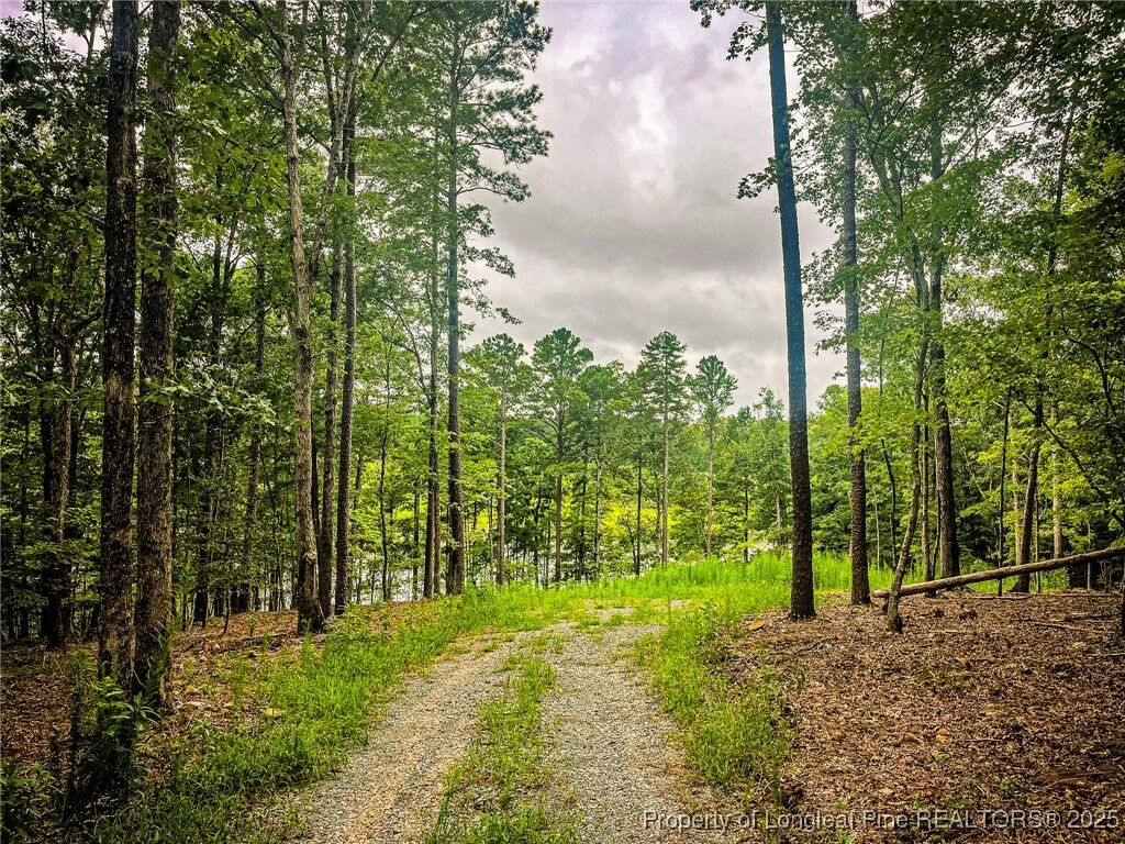 Property Photo: Jennifer Lane NC 27330