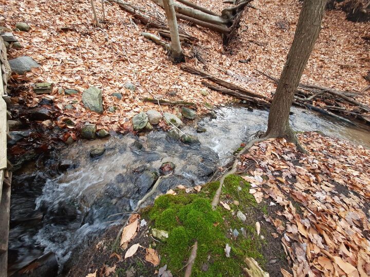 Property Photo: 8.5 Acres, 3rd Street MI 49675
