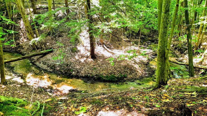 Property Photo:  8.5 Acres, 3rd Street  MI 49675 