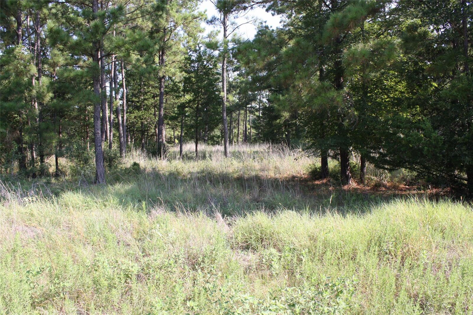 Property Photo: Lot 1 Morris Lane TX 77320