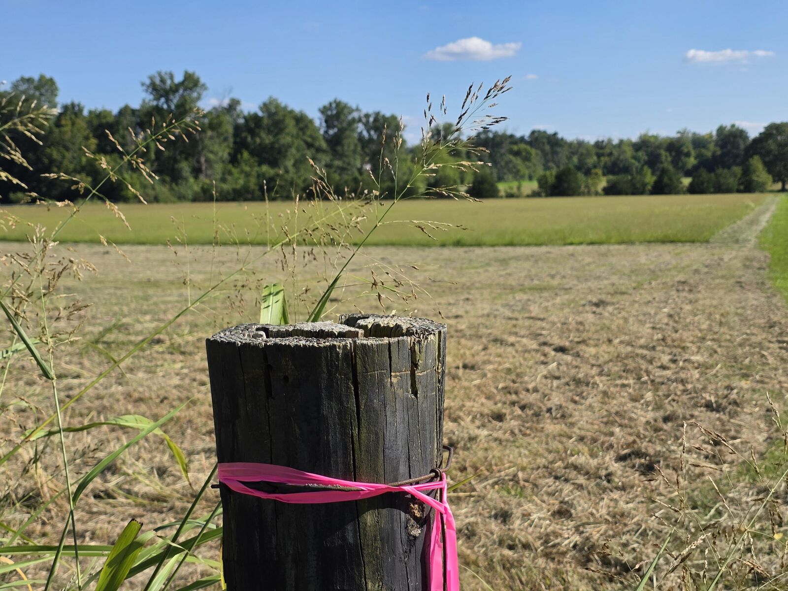 Property Photo: 9999 Peggy Flats Road KY 40403