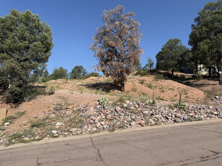 Property Photo: 802 N Oak Point AZ 85541
