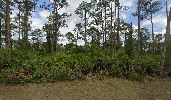 Property Photo:  2018 Canton Avenue  FL 33920 