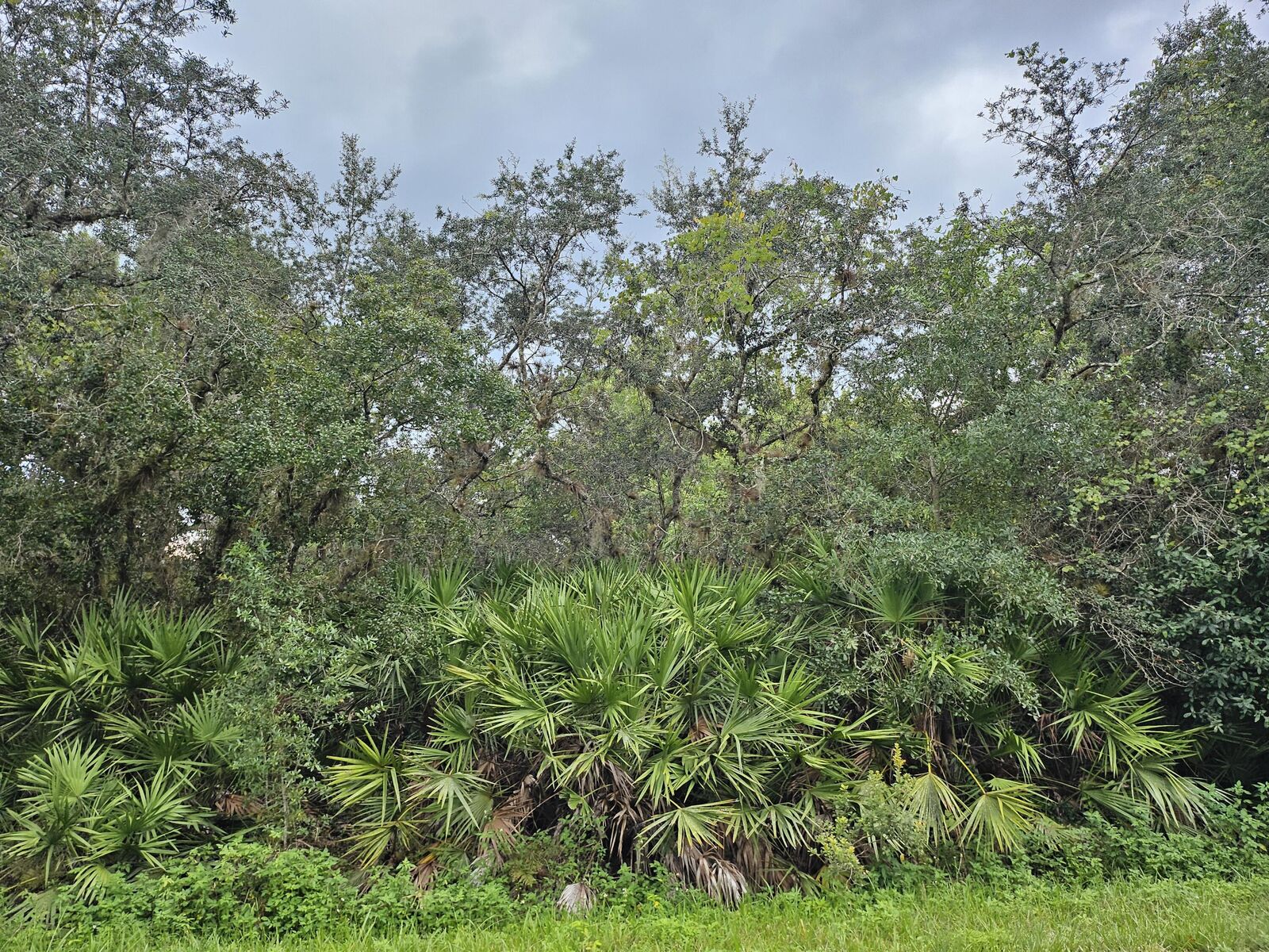 Property Photo: 0 Grape Avenue FL 34972