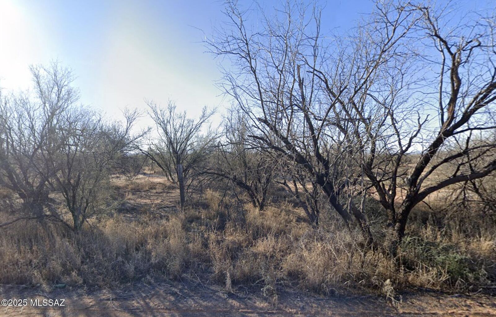 Property Photo:  12141 W Park Road  AZ 85735 