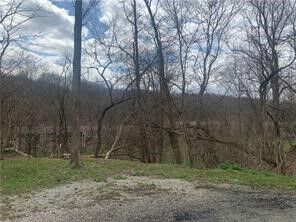 Property Photo: 0 Churchill Rd PA 15102