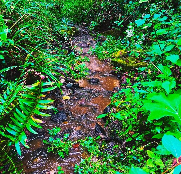 Property Photo:  81 Jericho Drive  NC 28782 