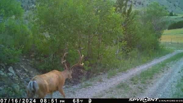 1131 Outlaw Trail  Anaconda MT 58711 photo