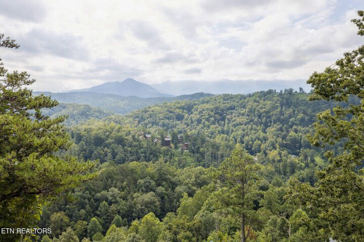 Property Photo: 780 Park Vista Way Way TN 37738