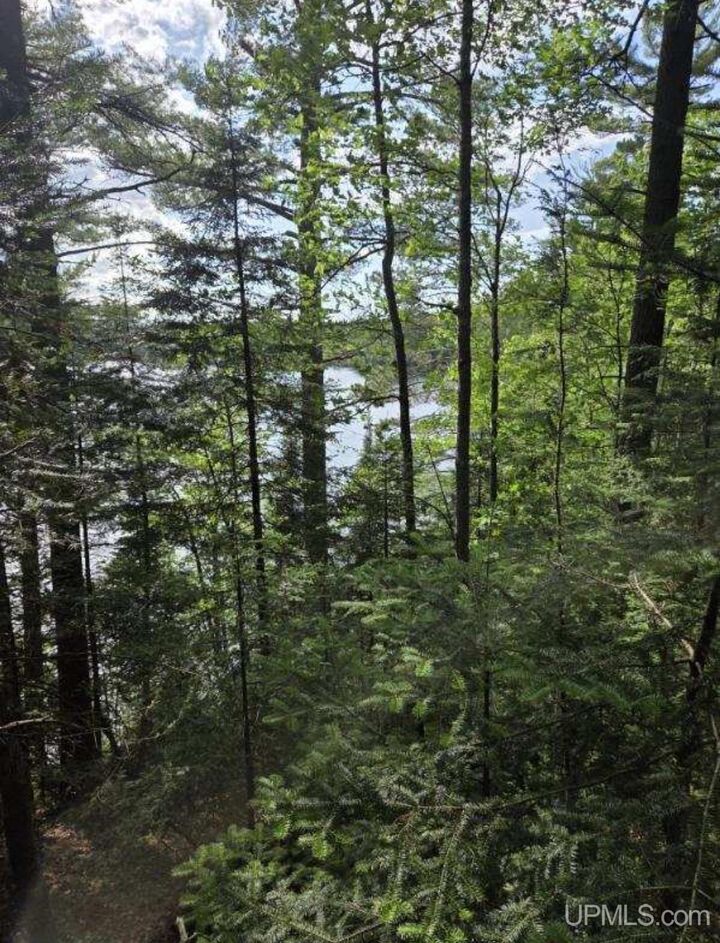 Tbd W Paint Lake Road  Iron River MI 49935 photo