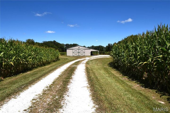 Property Photo: 29782 State Highway 16 IL 62052